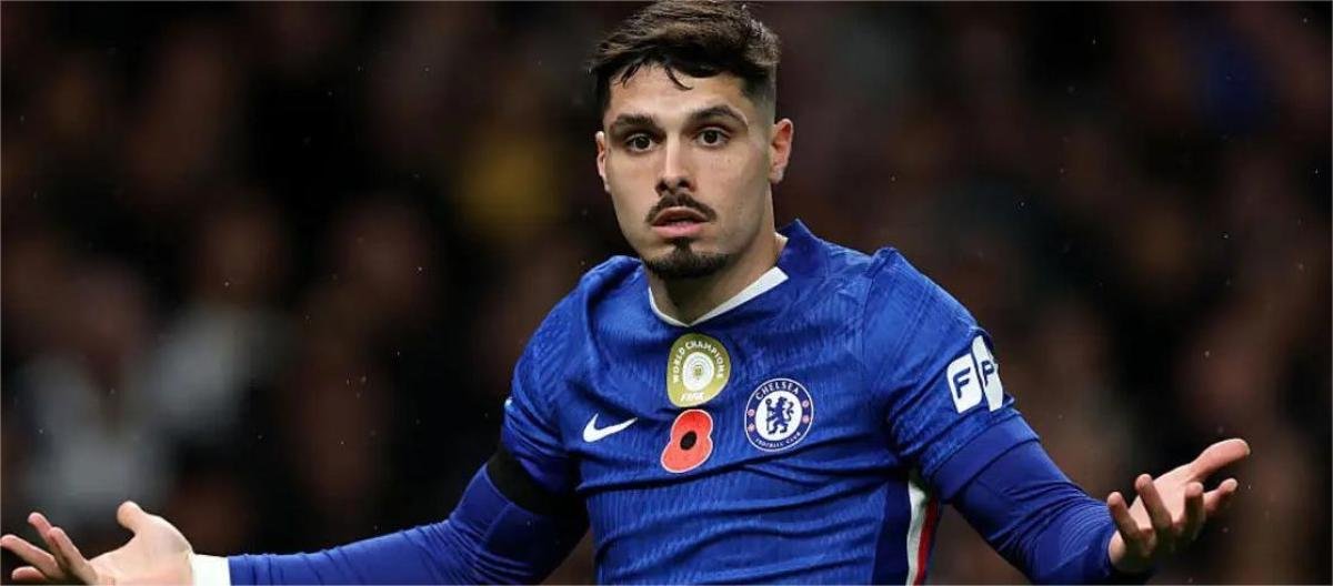 8868体育 - 2026世界杯球场分配