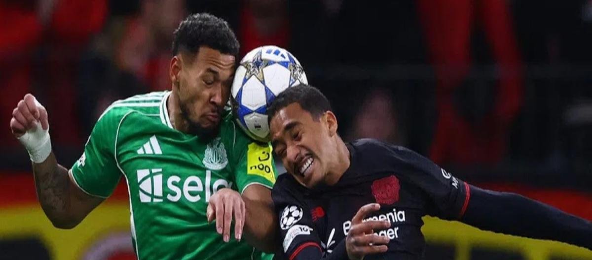 8868体育 - 2026世界杯国足前景 8868体育 - 2026世界杯国足前景