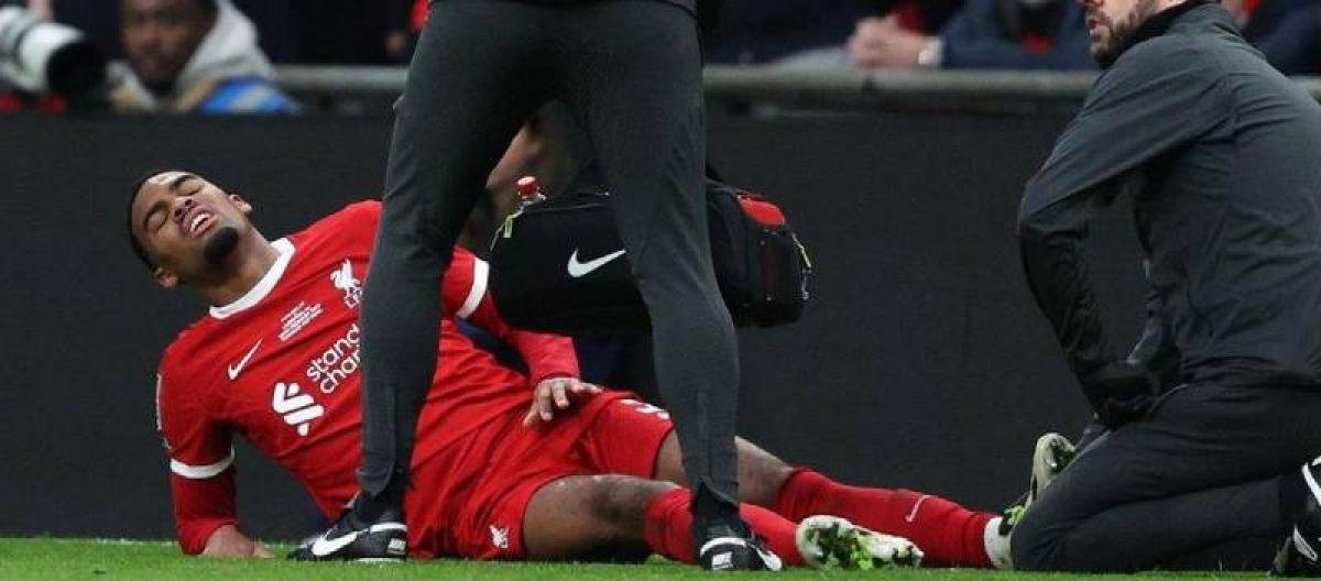 8868体育 - 2026世界杯明星