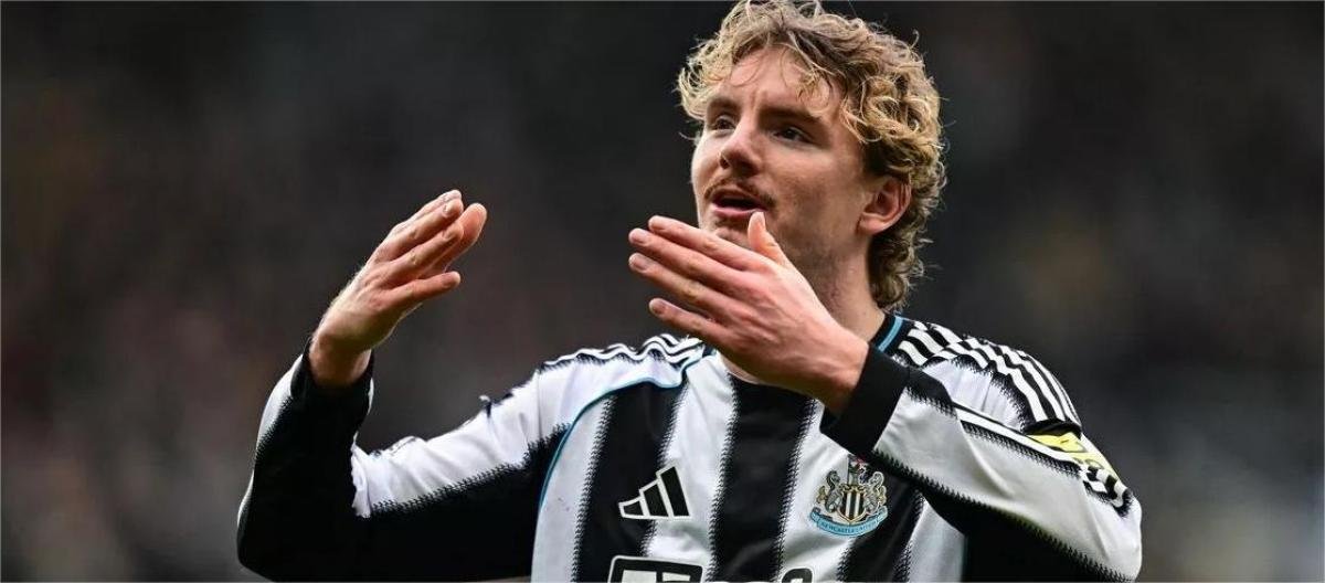 8868体育 - 2026世界杯球队分布